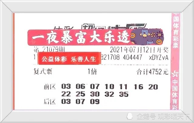 2024新奥今晚开奖号码,揭秘新奥彩票，今晚开奖号码预测与彩票背后的故事