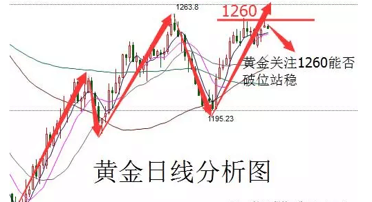 2024香港今晚开特马,关于香港今晚特马开彩的分析预测