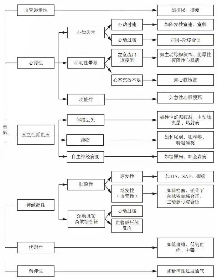 777778888王中王最新,探索数字背后的秘密，揭秘最新王中王现象与数字777778888的神秘面纱