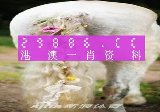 澳门正版资料全年免费公开精准资料一,澳门正版资料全年免费公开精准资料一，探索与解读